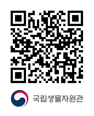 QR코드