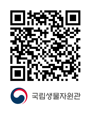 QR코드