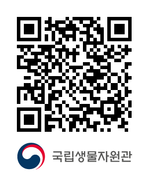 QR코드