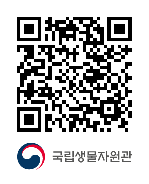 QR코드