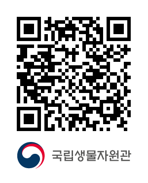 QR코드