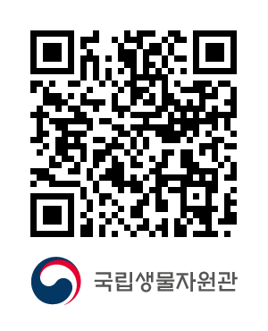 QR코드