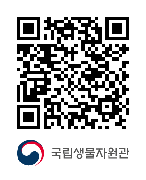 QR코드