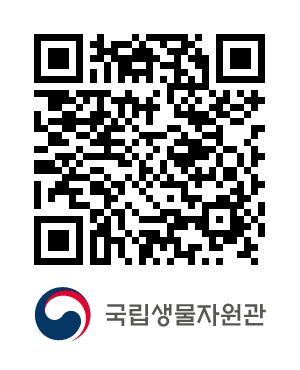 QR코드
