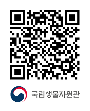QR코드