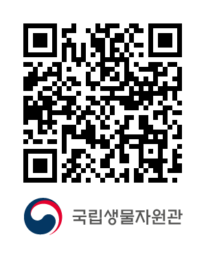 QR코드