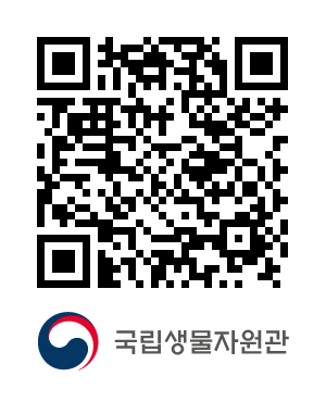 QR코드