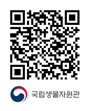 QR코드