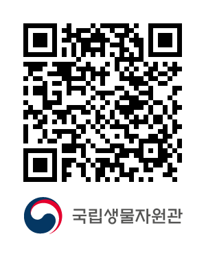 QR코드