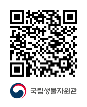 QR코드