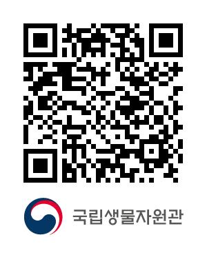 QR코드
