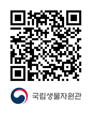 QR코드