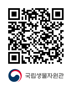 QR코드