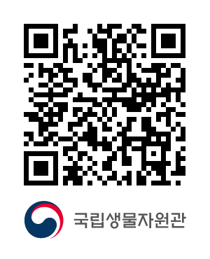 QR코드