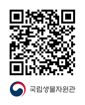 QR코드