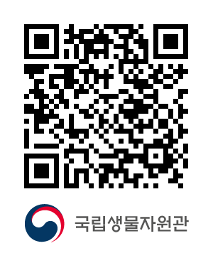 QR코드