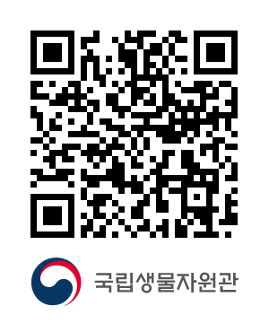 QR코드