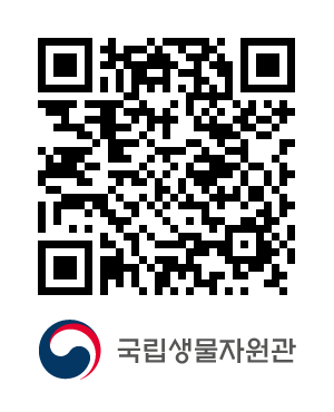 QR코드