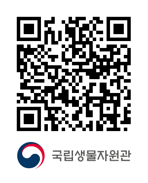 QR코드