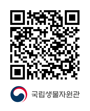 QR코드
