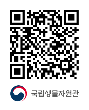 QR코드