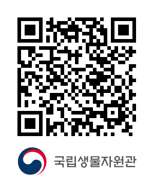 QR코드