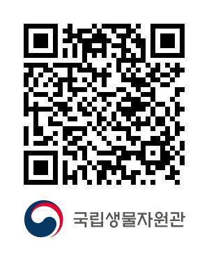QR코드