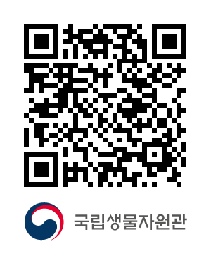 QR코드