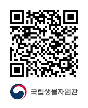 QR코드