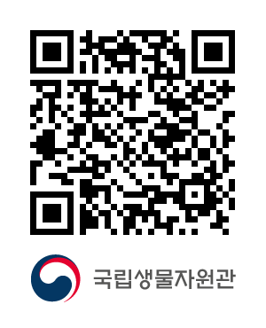 QR코드