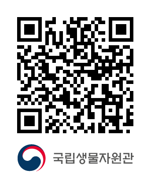 QR코드