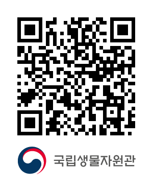 QR코드