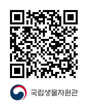 QR코드