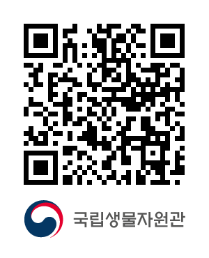 QR코드