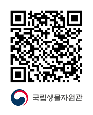 QR코드