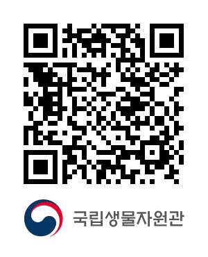QR코드