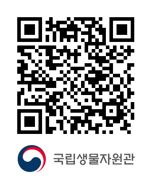 QR코드