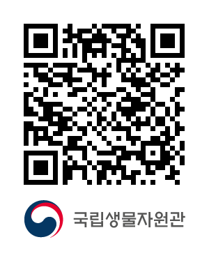 QR코드