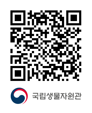 QR코드
