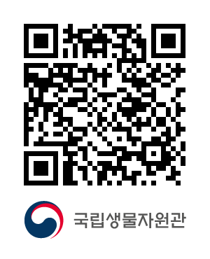 QR코드