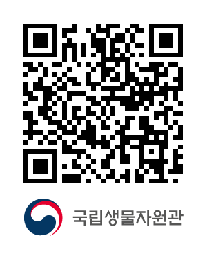 QR코드