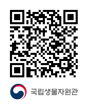 QR코드