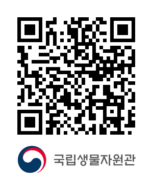QR코드