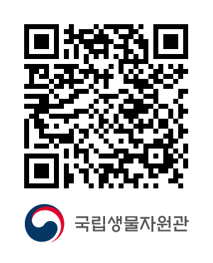 QR코드