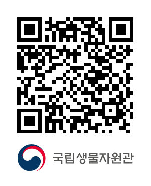 QR코드