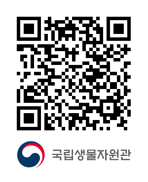 QR코드