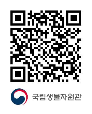 QR코드
