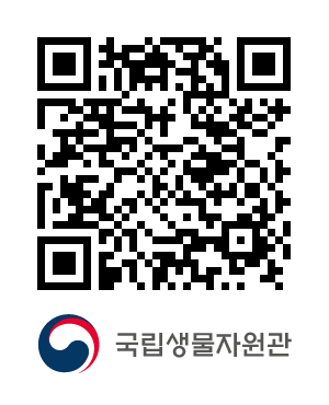 QR코드