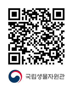 QR코드