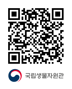 QR코드